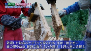 2015.08.31「道の駅ぷらり散歩美人」埼玉県編(５)