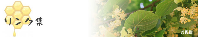 リンク集　マスメディア