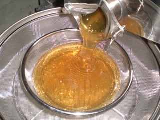 完熟した糖度の高いはちみつを搾ります