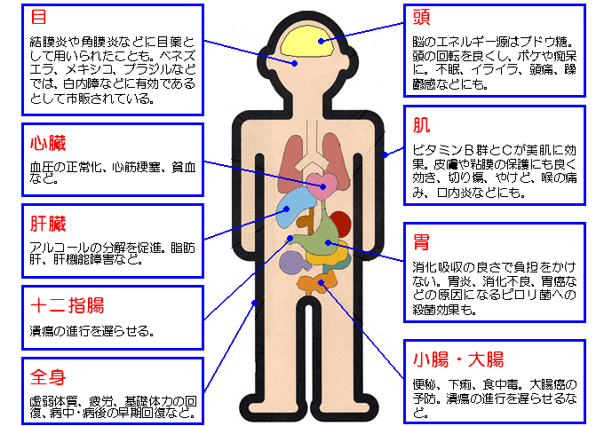 はちみつの有効性
