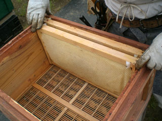 良質な蜜が採れる様に隔王板を使っています