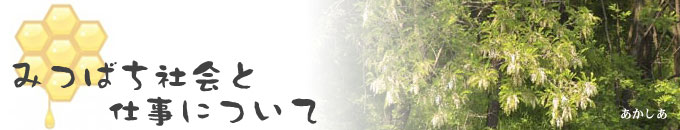 みつばち社会と仕事について
