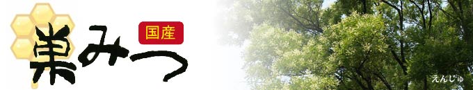 花園養蜂場　巣みつ｜花園養蜂場