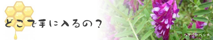 どこで手に入るの